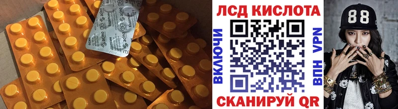 продажа наркотиков  Каменногорск  Лсд 25 экстази кислота 